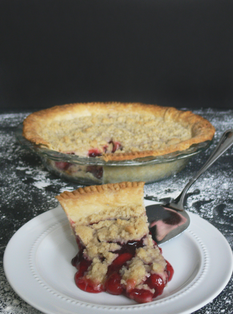 Slice of Cranberry Cherry Pie