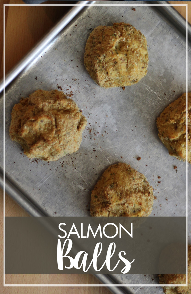 Salmon Balls