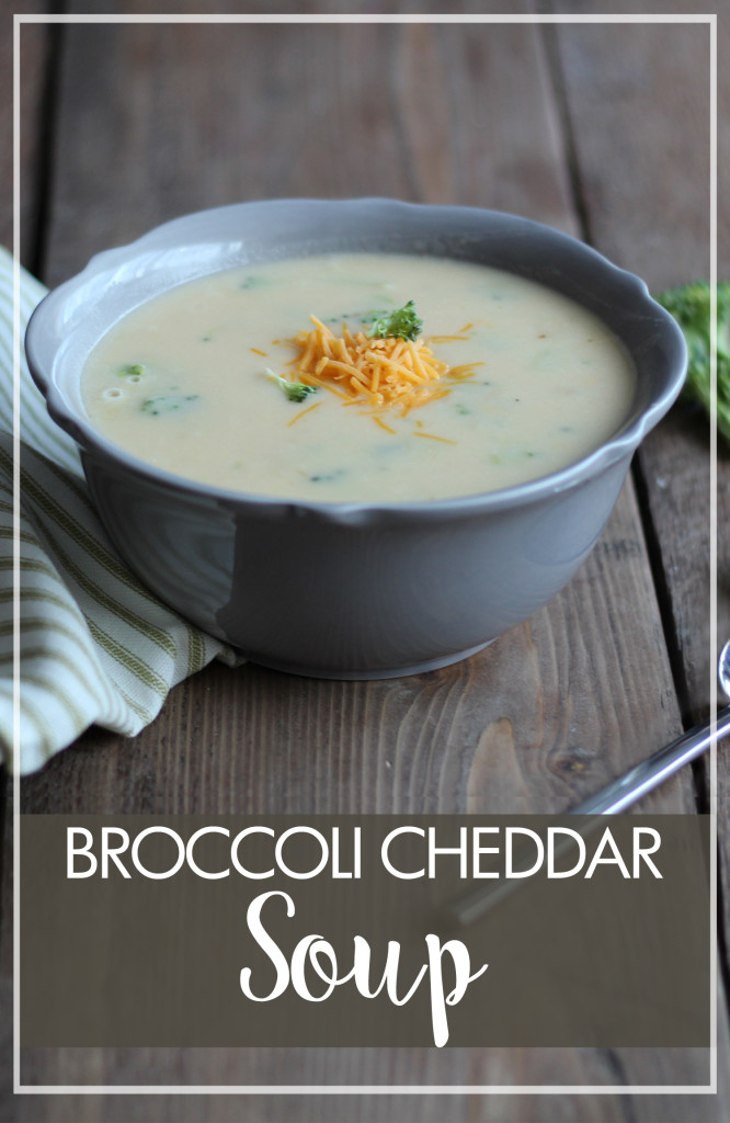 Broccoli Cheddar Soup