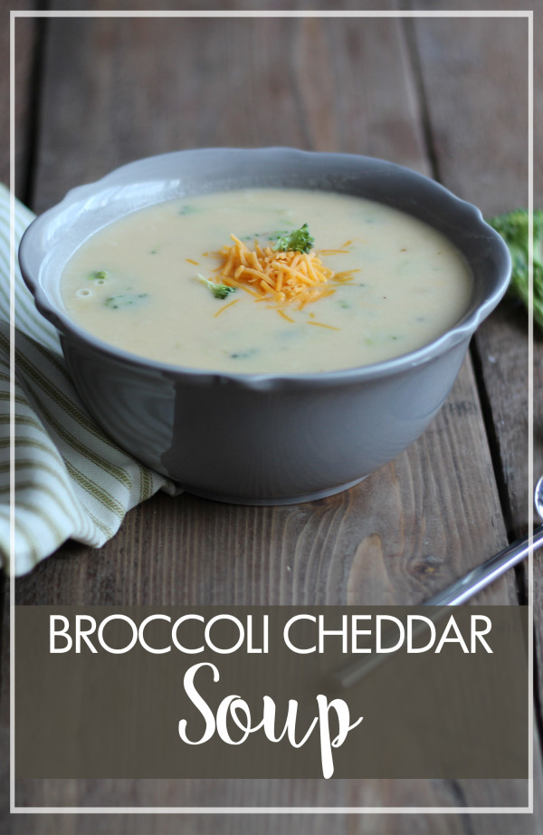 Broccoli Cheese Soup - Marguerites Cookbook