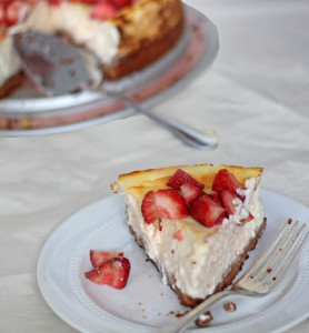 Cheesecake Recipe Slice